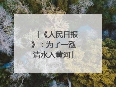 《人民日报》：为了一泓清水入黄河