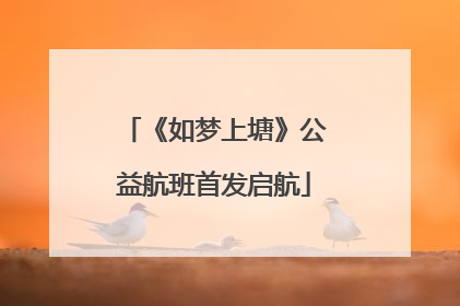 《如梦上塘》公益航班首发启航