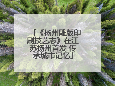 《扬州雕版印刷技艺志》在江苏扬州首发 传承城市记忆