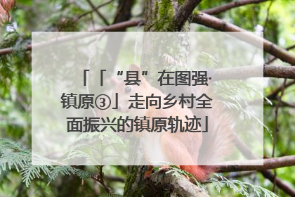 「“县”在图强·镇原③」走向乡村全面振兴的镇原轨迹