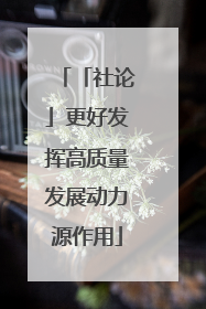 「社论」更好发挥高质量发展动力源作用
