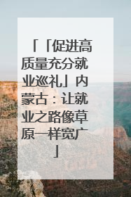 「促进高质量充分就业巡礼」内蒙古：让就业之路像草原一样宽广