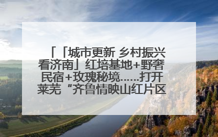 「城市更新 乡村振兴看济南」红培基地+野奢民宿+玫瑰秘境……打开莱芜“齐鲁情映山红片区”的破圈秘籍