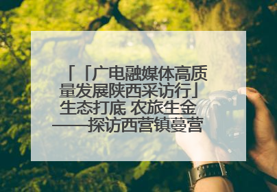 「广电融媒体高质量发展陕西采访行」生态打底 农旅生金——探访西营镇蔓营村省级旅游示范村的振兴密码