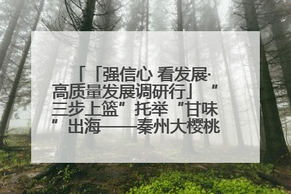 「强信心 看发展·高质量发展调研行」“三步上篮”托举“甘味”出海——秦州大樱桃高质量发展动作分解