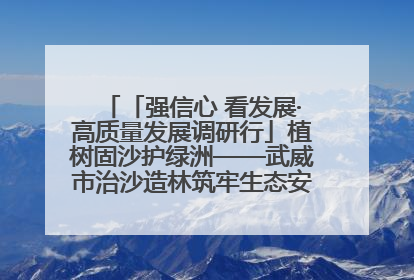 「强信心 看发展·高质量发展调研行」植树固沙护绿洲——武威市治沙造林筑牢生态安全屏障见闻
