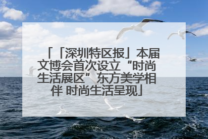 「深圳特区报」本届文博会首次设立“时尚生活展区”东方美学相伴 时尚生活呈现