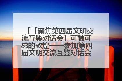 「聚焦第四届文明交流互鉴对话会」可触可感的敦煌——参加第四届文明交流互鉴对话会的外宾参观上元市集