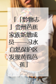 「黔物志」贵州芭蕉家族新增成员——习水自然保护区发现黄苞芭蕉