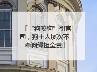 “狗咬狗”引官司，狗主人屡次不牵狗绳担全责