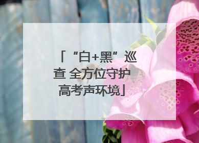 “白+黑”巡查 全方位守护高考声环境