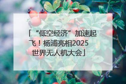 “低空经济”加速起飞！杨浦亮相2025世界无人机大会