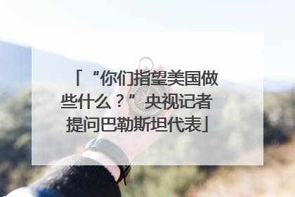 “你们指望美国做些什么？”央视记者提问巴勒斯坦代表