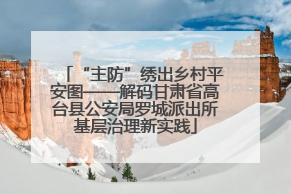 “主防”绣出乡村平安图——解码甘肃省高台县公安局罗城派出所基层治理新实践
