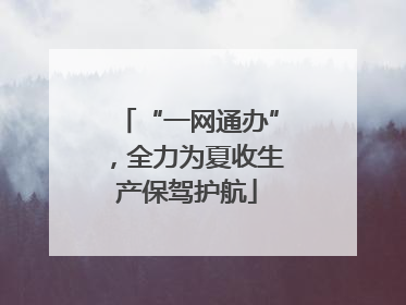 “一网通办”，全力为夏收生产保驾护航