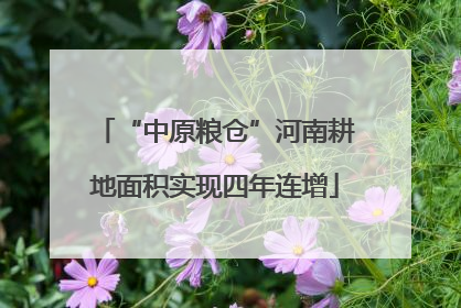 “中原粮仓”河南耕地面积实现四年连增