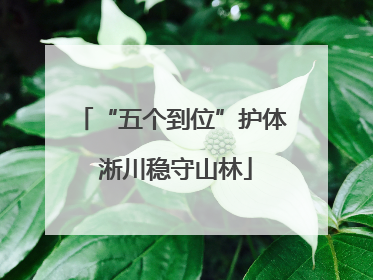 “五个到位”护体 淅川稳守山林
