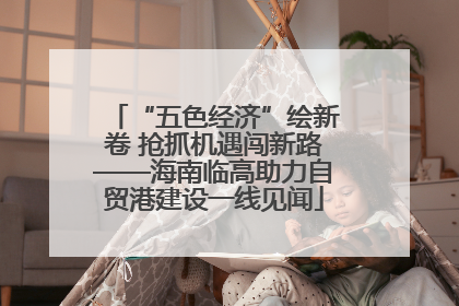 “五色经济”绘新卷 抢抓机遇闯新路——海南临高助力自贸港建设一线见闻