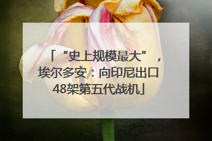 “史上规模最大”，埃尔多安：向印尼出口48架第五代战机