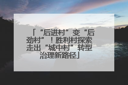 “后进村”变“后劲村”！胜利村探索走出“城中村”转型治理新路径