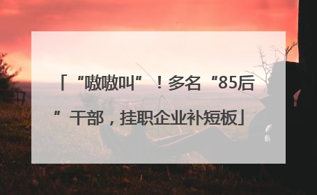 “嗷嗷叫”！多名“85后”干部，挂职企业补短板
