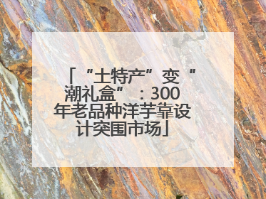 “土特产”变“潮礼盒”：300年老品种洋芋靠设计突围市场