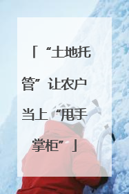 “土地托管”让农户当上“甩手掌柜”