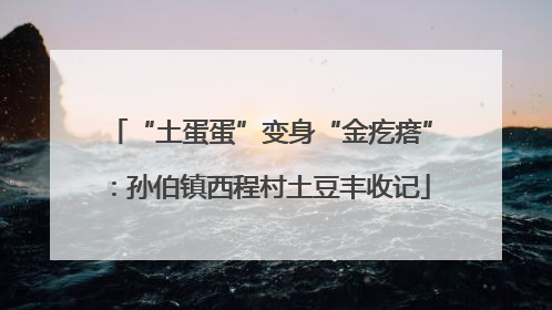 “土蛋蛋”变身“金疙瘩”：孙伯镇西程村土豆丰收记