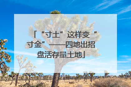 “寸土”这样变“寸金”——四地出招盘活存量土地