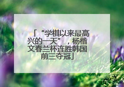 “学棋以来最高兴的一天”，杨楷文春兰杯连胜韩国前三夺冠