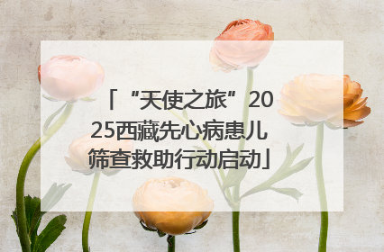 “天使之旅”2025西藏先心病患儿筛查救助行动启动