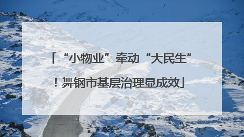 “小物业”牵动“大民生”！舞钢市基层治理显成效