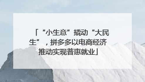 “小生意”撬动“大民生”，拼多多以电商经济推动实现普惠就业