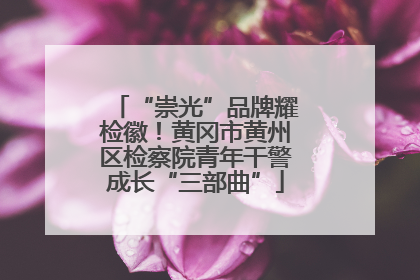 “崇光”品牌耀检徽！黄冈市黄州区检察院青年干警成长“三部曲”