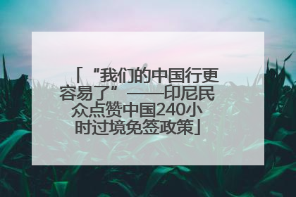 “我们的中国行更容易了”——印尼民众点赞中国240小时过境免签政策