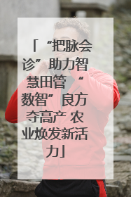“把脉会诊”助力智慧田管 “数智”良方夺高产 农业焕发新活力