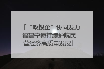 “政银企”协同发力 福建宁德持续护航民营经济高质量发展