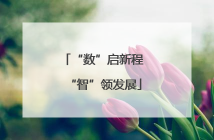 “数”启新程 “智”领发展