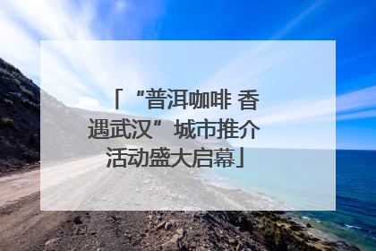 “普洱咖啡 香遇武汉”城市推介活动盛大启幕