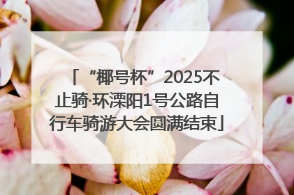 “椰号杯”2025不止骑·环溧阳1号公路自行车骑游大会圆满结束
