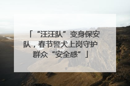 “汪汪队”变身保安队，春节警犬上岗守护群众“安全感”