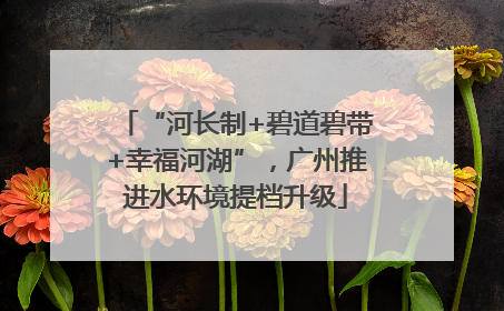 “河长制+碧道碧带+幸福河湖”，广州推进水环境提档升级