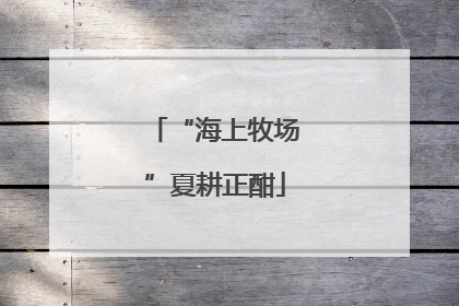 “海上牧场”夏耕正酣