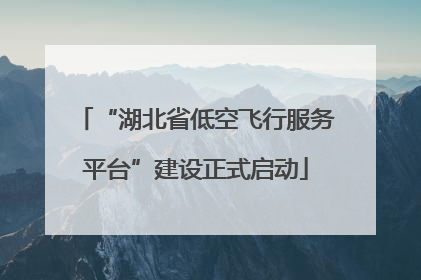 “湖北省低空飞行服务平台”建设正式启动
