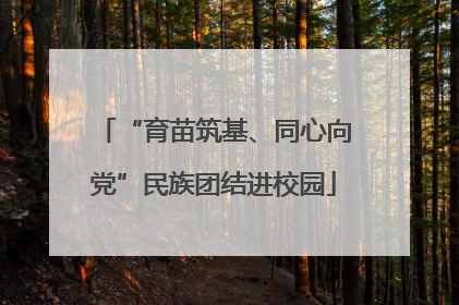 “育苗筑基、同心向党”民族团结进校园