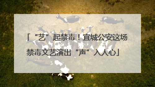“艺”起禁毒！宜城公安这场禁毒文艺演出“声”入人心