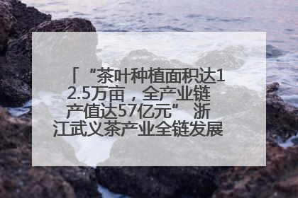 “茶叶种植面积达12.5万亩，全产业链产值达57亿元” 浙江武义茶产业全链发展“加速度”