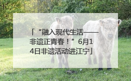 “融入现代生活——非遗正青春！”6月14日非遗活动进江宁