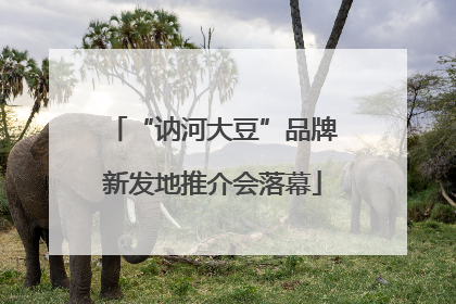 “讷河大豆”品牌新发地推介会落幕