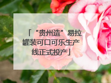 “贵州造”易拉罐装可口可乐生产线正式投产